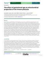 The effect of gestational age on mitochondrial properties of the mouse placenta
