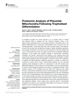 Proteomic Analysis of Placental Mitochondria Following Trophoblast Differentiation