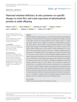 Maternal selenium deficiency in mice promotes sex-specific changes to urine flow and renal expression of mitochondrial proteins in adult offspring