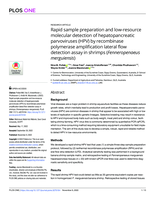 Rapid sample preparation and low-resource molecular detection of hepatopancreatic parvoviruses (HPV) by recombinase polymerase amplification lateral flow detection assay in shrimps (Fenneropenaeus merguiensis)