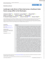 Landscape‐scale drivers of liana load across a Southeast Asian forest canopy differ to the Neotropics