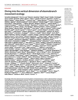 Diving into the vertical dimension of elasmobranch movement ecology