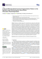 A Novel Mitochondrial Genome Fragmentation Pattern in the Buffalo Louse Haematopinus tuberculatus (Psocodea: Haematopinidae)