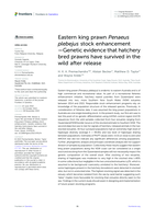 Eastern king prawn Penaeus plebejus stock enhancement—Genetic evidence that hatchery bred prawns have survived in the wild after release