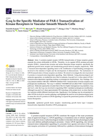 G alpha q Is the Specific Mediator of PAR-1 Transactivation of Kinase Receptors in Vascular Smooth Muscle Cells