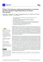 Caerin 1.1/1.9 Enhances Antitumour Immunity by Activating the IFN-α Response Signalling Pathway of Tumour Macrophages