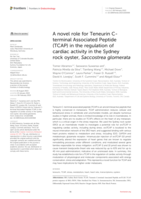 A novel role for Teneurin C-terminal Associated Peptide (TCAP) in the regulation of cardiac activity in the Sydney rock oyster, Saccostrea glomerata