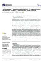 Transcriptomic Changes Following Induced De-Masculinisation of Australian Red Claw Crayfish Cherax quadricarinatus