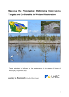 Opening the Floodgates: Optimising Ecosystems Targets and Co- Benefits in Wetland Restoration