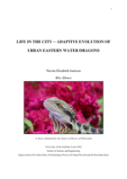 Life in the city – adaptive evolution of urban eastern water dragons