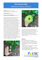 USC Plant Profile - Malvaceae, Hibiscus tiliaceus