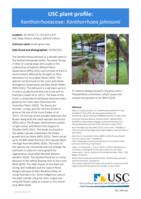 USC Plant Profile - Xanthorrhoeaceae, Xanthorrhoea johnsonii
