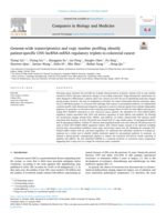 Genome-wide transcriptomics and copy number profiling identify patient-specific CNV-lncRNA-mRNA regulatory triplets in colorectal cancer