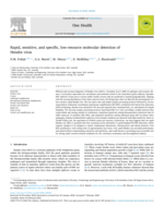 Rapid, sensitive, and specific, low-resource molecular detection of Hendra virus