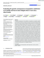 Evaluating the genetic consequences of population subdivision as it unfolds and how to best mitigate them: a rare story about koalas