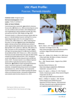 USC Plant Profile - Poaceae, Themeda triandra