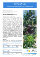 USC Plant Profile - Myrtaceae, Xanthostemon chrysanthus