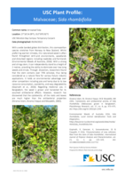 USC Plant Profile - Malvaceae, Sida rhombifolia