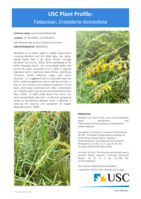 USC Plant Profile - Fabaceae, Crotalaria lanceolata