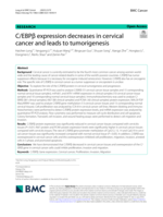 C/EBPβ expression decreases in cervical cancer and leads to tumorigenesis