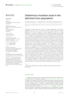 Deleterious mutation load in the admixed mice population