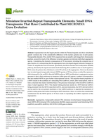 Miniature Inverted-Repeat Transposable Elements: Small DNA Transposons That Have Contributed to Plant MICRORNA Gene Evolution