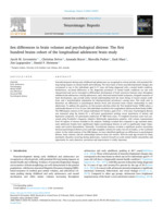 Sex differences in brain volumes and psychological distress: The first hundred brains cohort of the longitudinal adolescent brain study