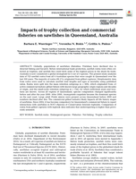 Impacts of trophy collection and commercial fisheries on sawfishes in Queensland, Australia