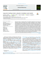 Long-term tracking reveals a dynamic crocodylian social system
