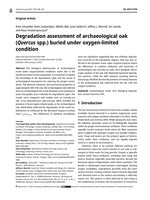 Degradation assessment of archaeological oak (Quercus spp.) buried under oxygen-limited condition