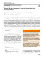 Ketamine and Zinc: Treatment of Anorexia Nervosa Via Dual NMDA Receptor Modulation