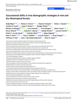 Successional shifts in tree demographic strategies in wet and dry Neotropical forests