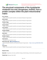 The structural components of the Azotobacter vinelandii iron-only nitrogenase, AnfDKG, form a protein complex within the plant mitochondrial matrix
