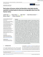 Derivation of human retinal cell densities using high-density, spatially localized optical coherence tomography data from the human retina
