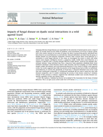 Impacts of fungal disease on dyadic social interactions in a wild agamid lizard