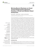 Moving Beyond Business as Usual Toward Regenerative Business Practice in Small and Medium-Sized Enterprises