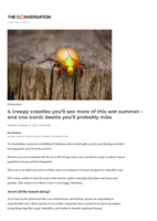 4 creepy crawlies you’ll see more of this wet summer – and one iconic beetle you’ll probably miss