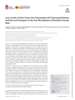 Low Levels of Hive Stress Are Associated with Decreased Honey Activity and Changes to the Gut Microbiome of Resident Honey Bees