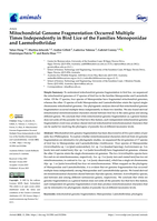 Mitochondrial Genome Fragmentation Occurred Multiple Times Independently in Bird Lice of the Families Menoponidae and Laemobothriidae