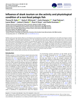 Influence of shark tourism on the activity and physiological condition of a non-focal pelagic fish