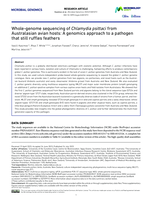Whole-genome sequencing of Chlamydia psittaci from Australasian avian hosts: A genomics approach to a pathogen that still ruffles feathers