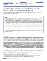 Nocardia australiensis sp. nov. and Nocardia spumae sp. nov., isolated from sea foam in Queensland, Australia