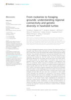 From rookeries to foraging grounds: understanding regional connectivity and genetic diversity in hawksbill turtles
