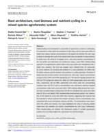 Root architecture, root biomass and nutrient cycling in a mixed‐species agroforestry system