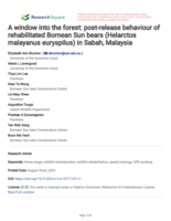 A window into the forest: post-release behaviour of rehabilitated Bornean Sun bears (Helarctos malayanus euryspilus) in Sabah, Malaysia
