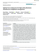 Optimal tree architecture for high‐yield yellowhorn (Xanthoceras sorbifolium) management