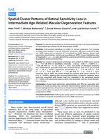 Spatial Cluster Patterns of Retinal Sensitivity Loss in Intermediate Age-Related Macular Degeneration Features