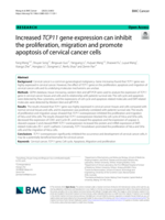 Increased TCP11 gene expression can inhibit the proliferation, migration and promote apoptosis of cervical cancer cells
