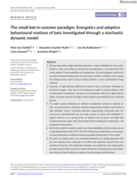 The small-bat-in-summer paradigm: Energetics and adaptive behavioural routines of bats investigated through a stochastic dynamic model