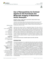Use of Nanoparticles As Contrast Agents for the Functional and Molecular Imaging of Abdominal Aortic Aneurysm